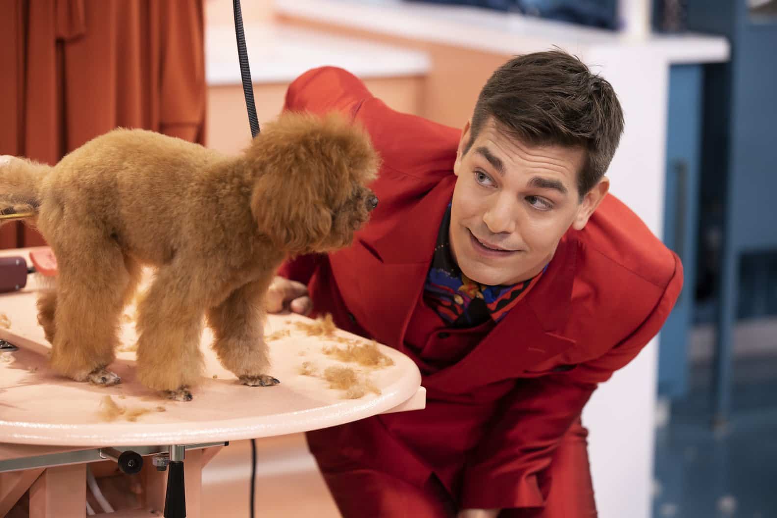 Comedian Matt Rogers smiles at puppy who was just groomed.